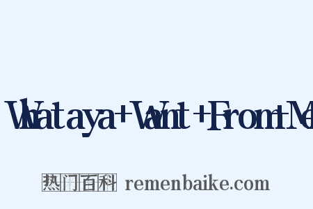 Whataya+Want+From+Me是什么意思的图片